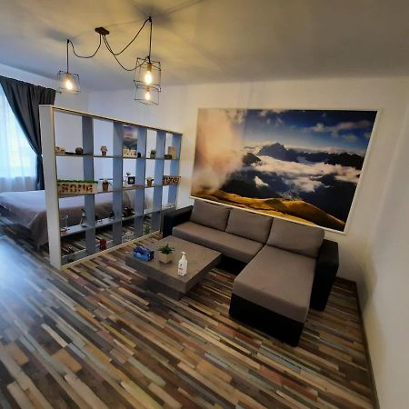 Croma Studio Petrosani Apartman Kültér fotó