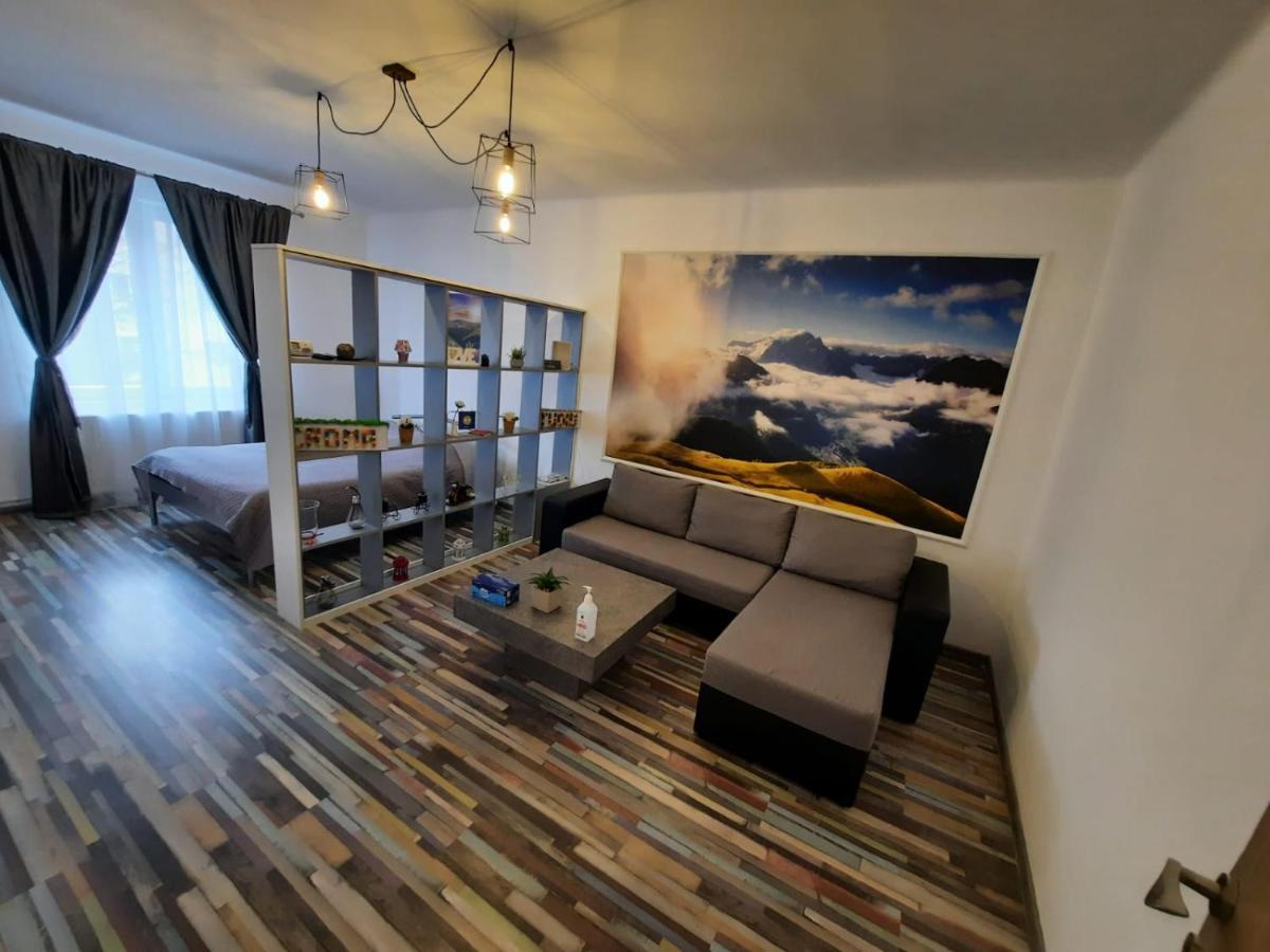 Croma Studio Petrosani Apartman Kültér fotó