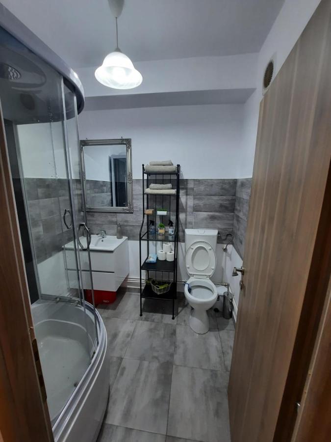 Croma Studio Petrosani Apartman Kültér fotó