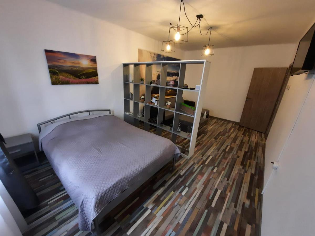 Croma Studio Petrosani Apartman Kültér fotó