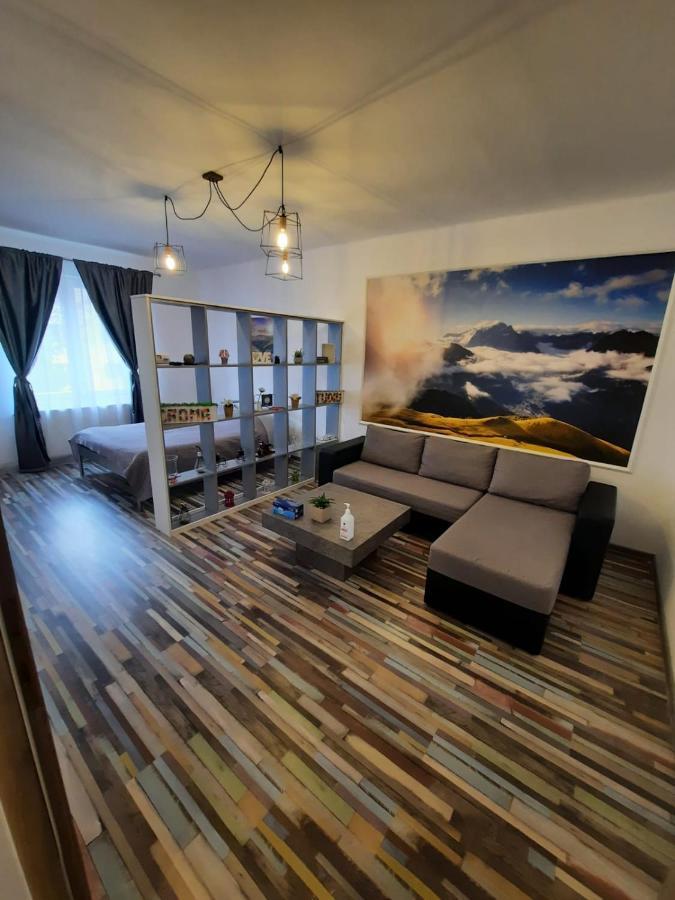 Croma Studio Petrosani Apartman Kültér fotó