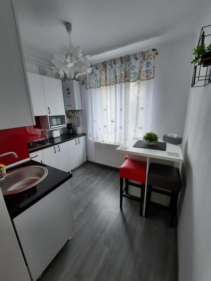 Croma Studio Petrosani Apartman Kültér fotó